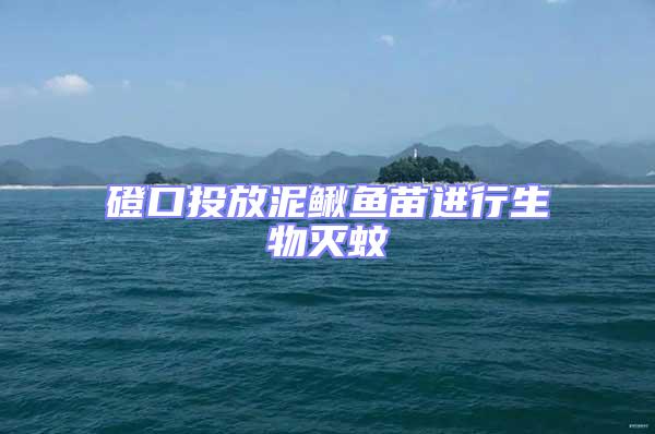 磴口投放泥鰍魚苗進行生物滅蚊