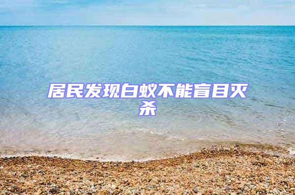 居民發現白蟻不能盲目滅殺