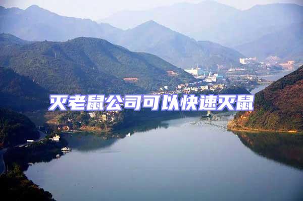 滅老鼠公司可以快速滅鼠