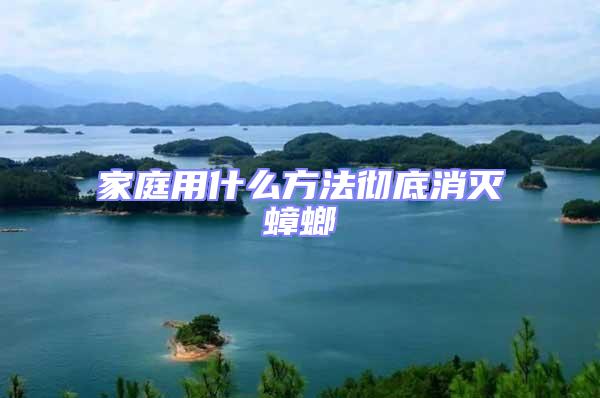 家庭用什么方法徹底消滅蟑螂