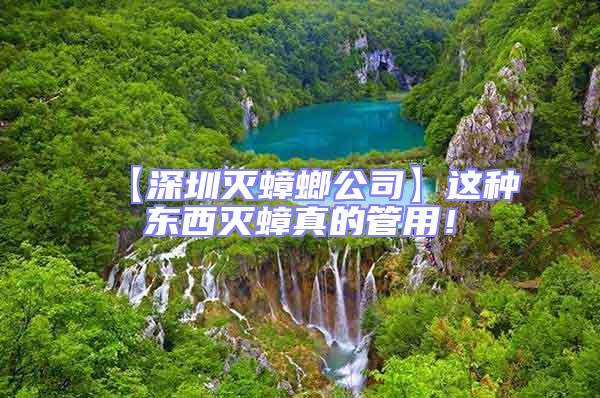 【深圳滅蟑螂公司】這種東西滅蟑真的管用！
