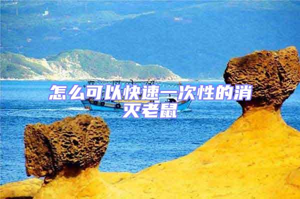 怎么可以快速一次性的消滅老鼠