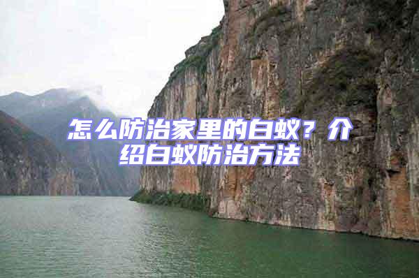 怎么防治家里的白蟻？介紹白蟻防治方法