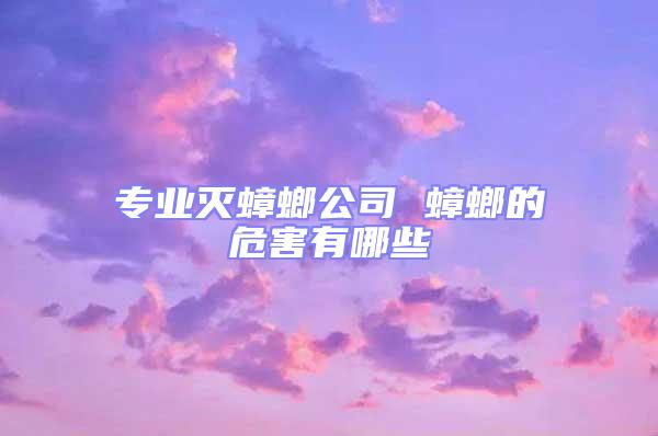 專業滅蟑螂公司 蟑螂的危害有哪些