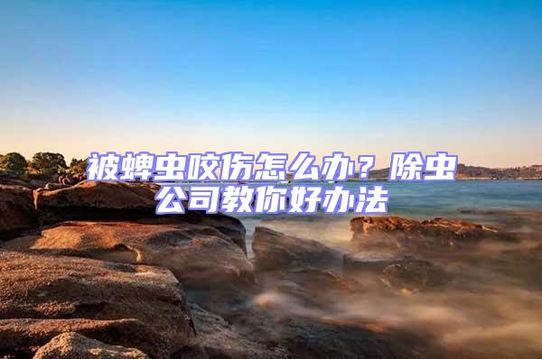 被蜱蟲咬傷怎么辦？除蟲公司教你好辦法