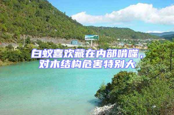 白蟻喜歡藏在內(nèi)部啃噬，對(duì)木結(jié)構(gòu)危害特別大