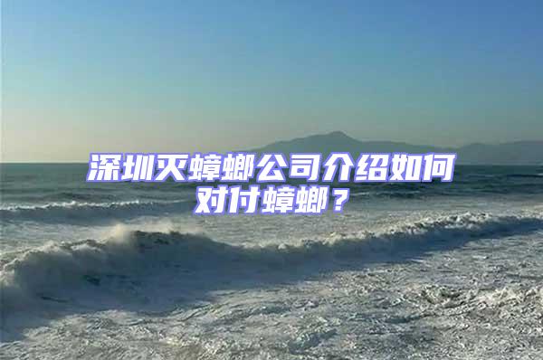 深圳滅蟑螂公司介紹如何對付蟑螂？