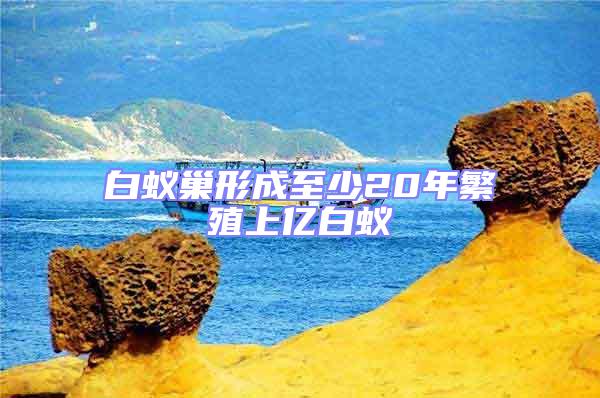 白蟻巢形成至少20年繁殖上億白蟻