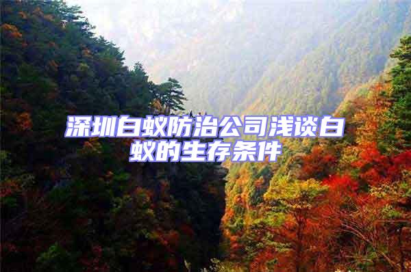 深圳白蟻防治公司淺談白蟻的生存條件