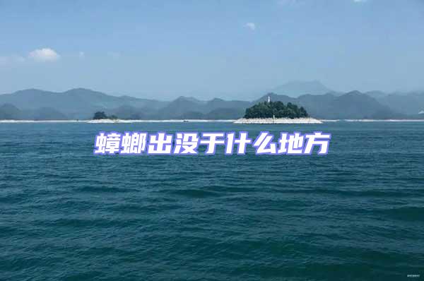 蟑螂出沒于什么地方