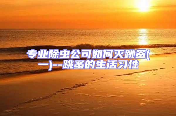 專業(yè)除蟲公司如何滅跳蚤(一)--跳蚤的生活習性