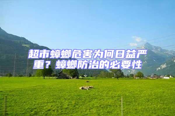 超市蟑螂危害為何日益嚴重？蟑螂防治的必要性