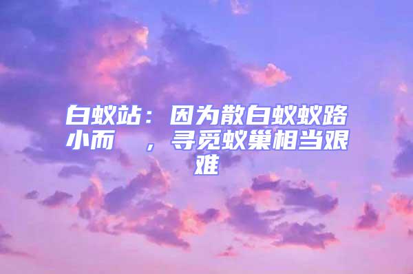 白蟻站：因為散白蟻蟻路小而骫骳，尋覓蟻巢相當艱難