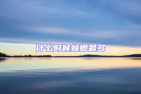 什么時候蟑螂最多