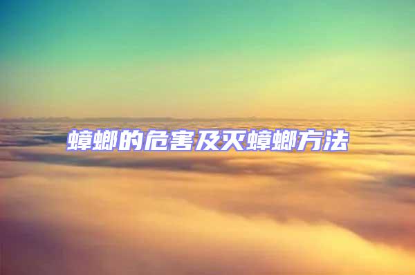蟑螂的危害及滅蟑螂方法