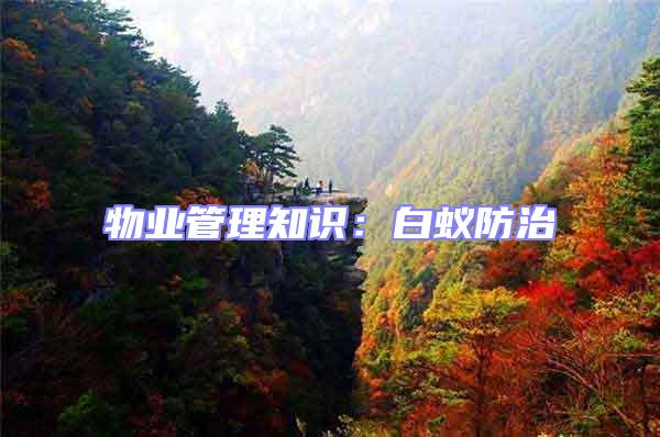 物業管理知識：白蟻防治