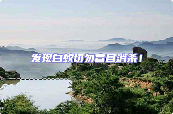 發現白蟻切勿盲目消殺！
