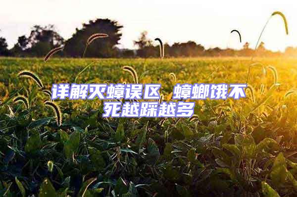 詳解滅蟑誤區 蟑螂餓不死越踩越多