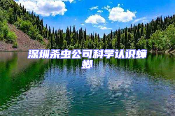 深圳殺蟲公司科學(xué)認(rèn)識(shí)蟑螂