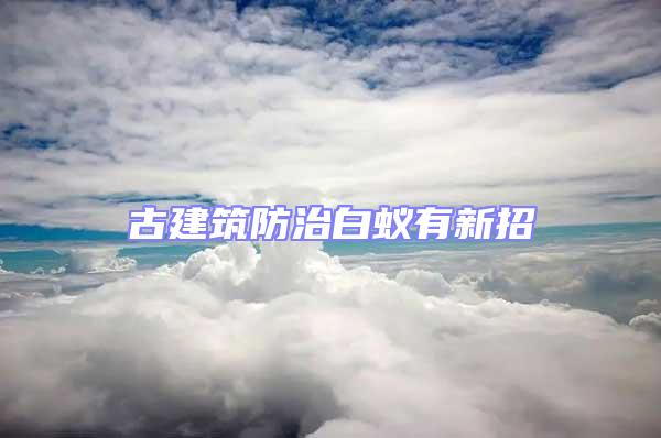 古建筑防治白蟻有新招