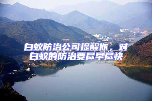 白蟻防治公司提醒你，對白蟻的防治要盡早盡快