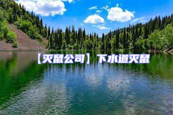 【滅鼠公司】下水道滅鼠