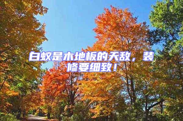 白蟻是木地板的天敵，裝修要細致！