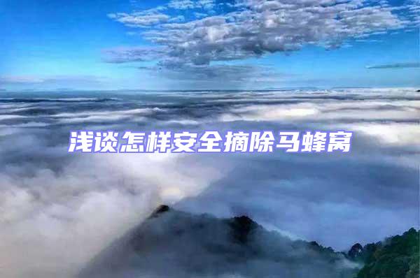 淺談怎樣安全摘除馬蜂窩