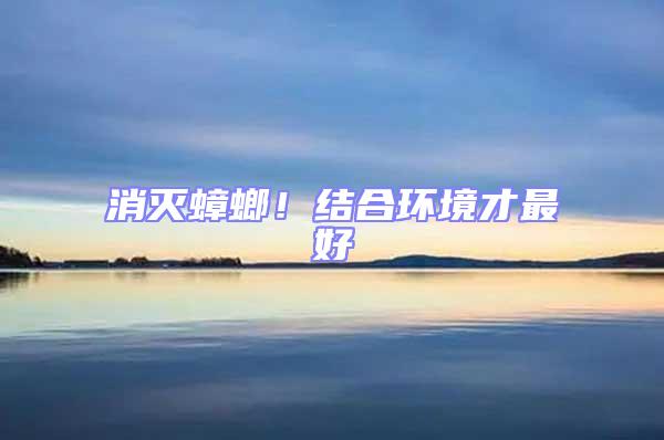 消滅蟑螂！結合環境才最好