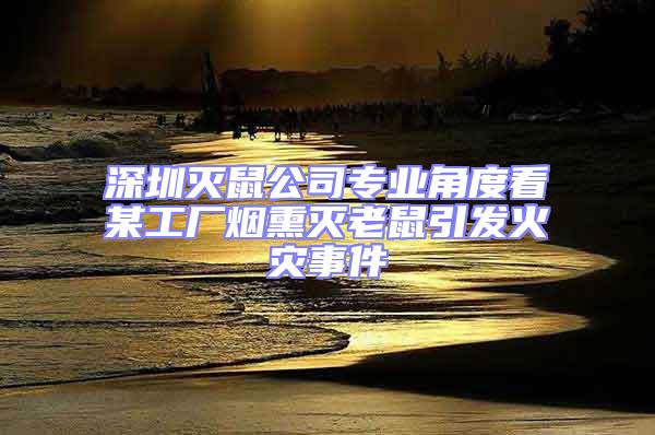 深圳滅鼠公司專業角度看某工廠煙熏滅老鼠引發火災事件