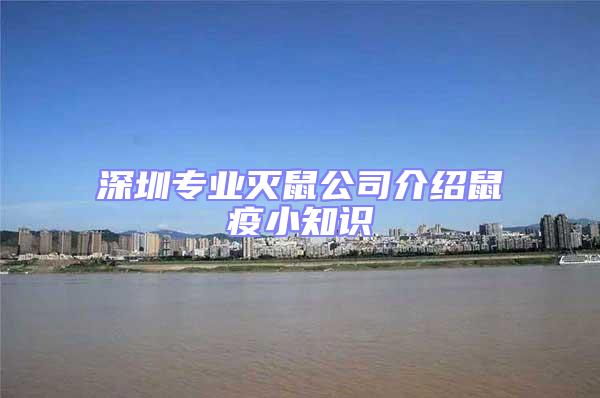 深圳專業(yè)滅鼠公司介紹鼠疫小知識(shí)