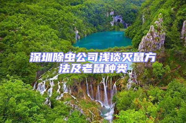深圳除蟲公司淺談滅鼠方法及老鼠種類