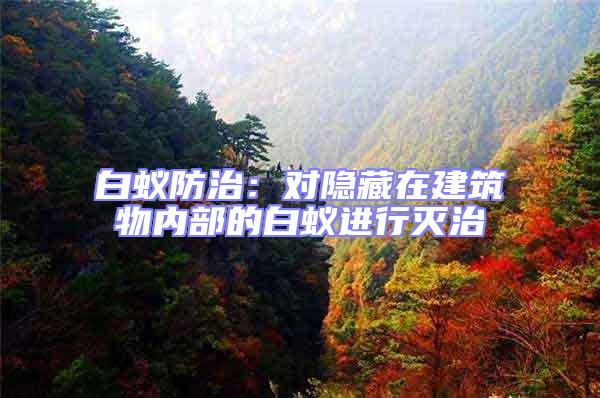 白蟻防治：對隱藏在建筑物內部的白蟻進行滅治