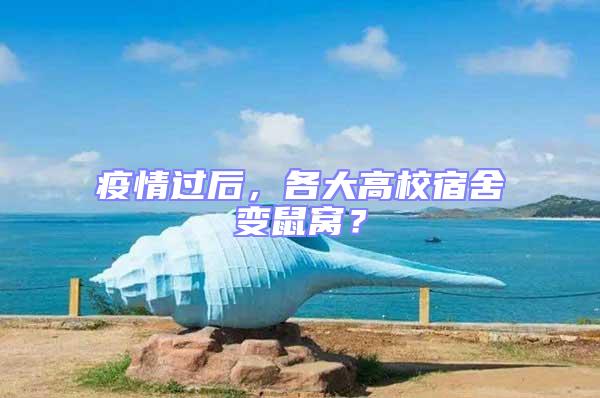 疫情過后，各大高校宿舍變鼠窩？