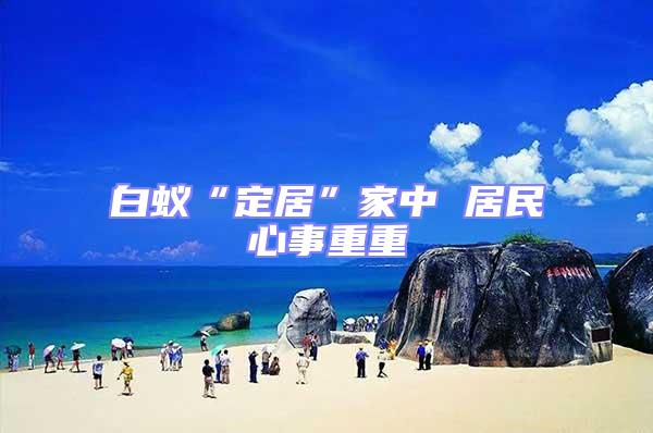 白蟻“定居”家中 居民心事重重