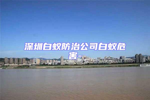 深圳白蟻防治公司白蟻危害-