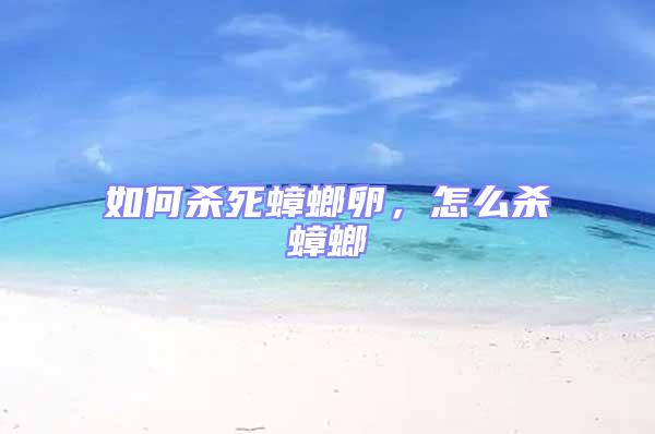 如何殺死蟑螂卵，怎么殺蟑螂