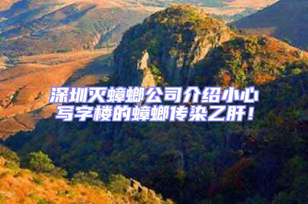 深圳滅蟑螂公司介紹小心寫字樓的蟑螂傳染乙肝！