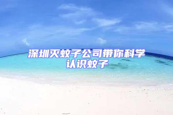 深圳滅蚊子公司帶你科學認識蚊子