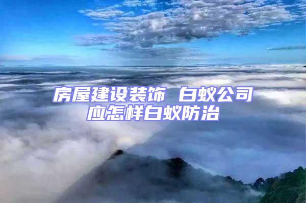 房屋建設裝飾 白蟻公司應怎樣白蟻防治