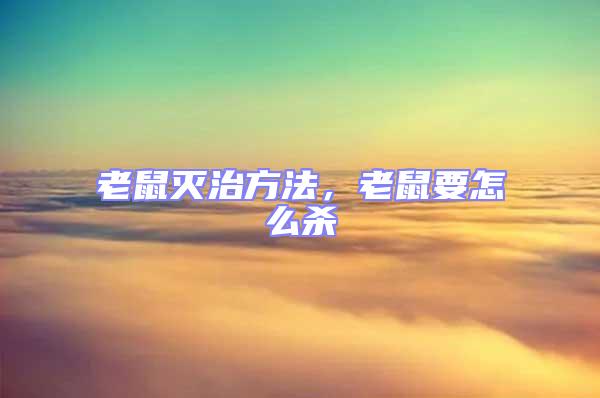 老鼠滅治方法，老鼠要怎么殺