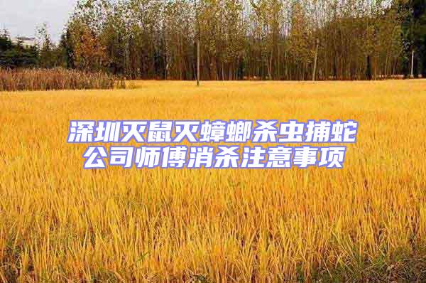 深圳滅鼠滅蟑螂殺蟲捕蛇公司師傅消殺注意事項