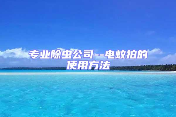 專業(yè)除蟲公司--電蚊拍的使用方法