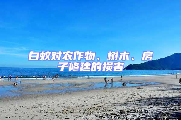 白蟻對農作物、樹木、房子修建的損害