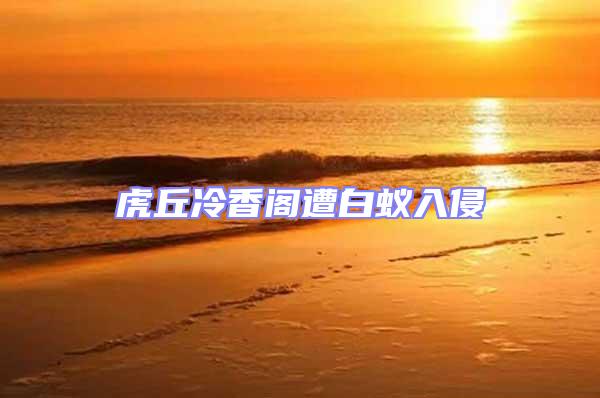 虎丘冷香閣遭白蟻入侵