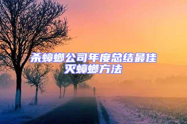 殺蟑螂公司年度總結最佳滅蟑螂方法