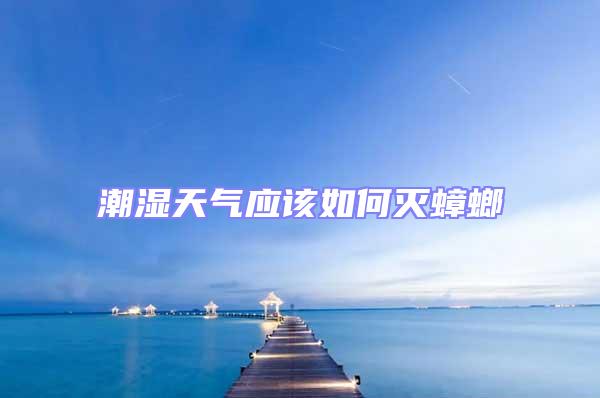 潮濕天氣應該如何滅蟑螂