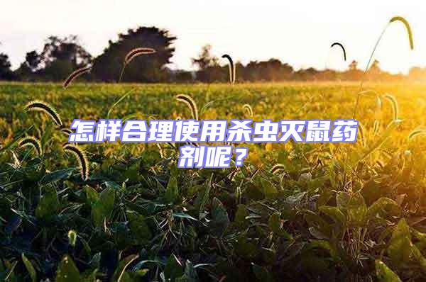 怎樣合理使用殺蟲滅鼠藥劑呢？