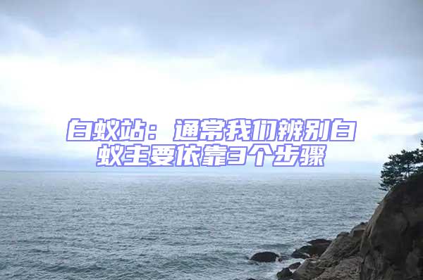 白蟻站：通常我們辨別白蟻主要依靠3個步驟