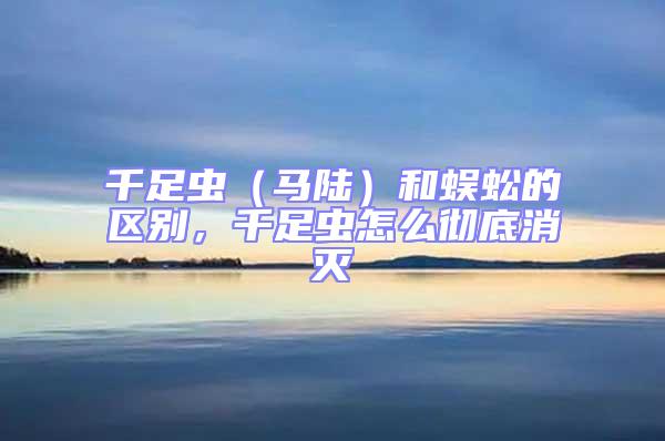 千足蟲（馬陸）和蜈蚣的區別，千足蟲怎么徹底消滅